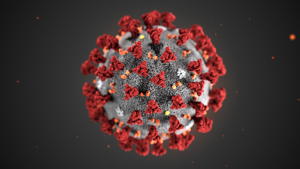 W.H.O. Declares Coronavirus Pandemic